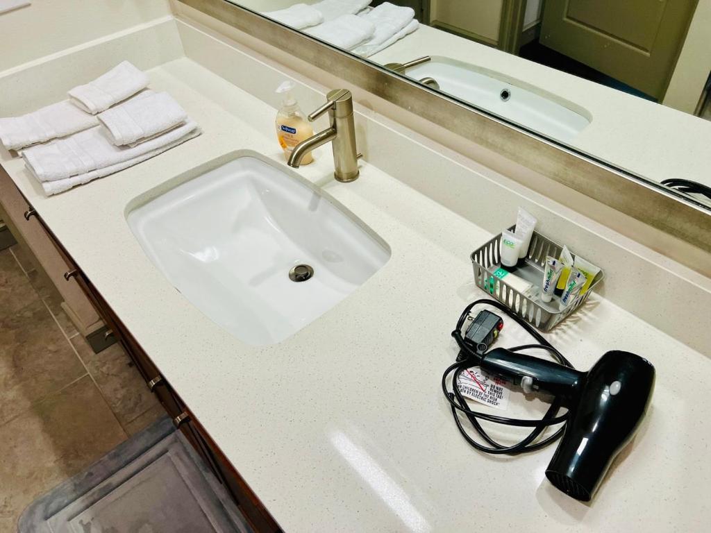 شقة Downtown Apart 1 Bed 1 Bath Free Parking هيوستن المظهر الخارجي الصورة